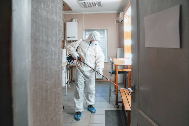 Best Mold Damage Restoration  in Oyster Creek, TX